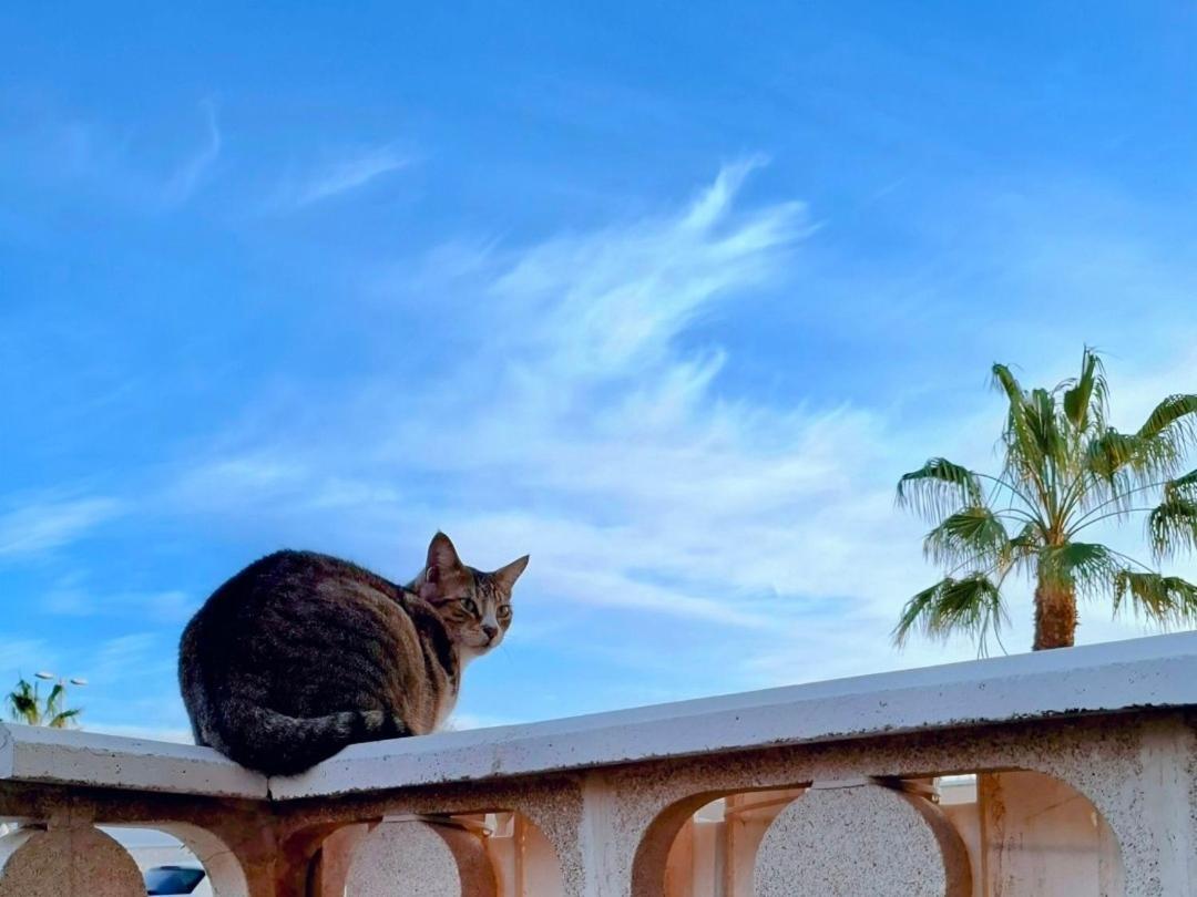 Habitacion Doble Con Bano Y Terraza Privada El Médano Esterno foto